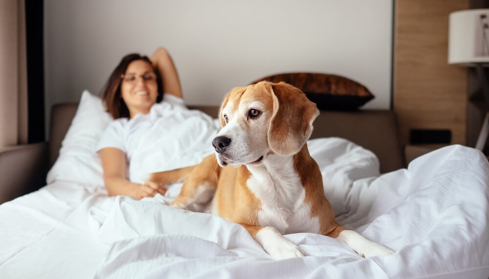Pet-friendly stay at Kimpton Hotel Monaco Philadelphia